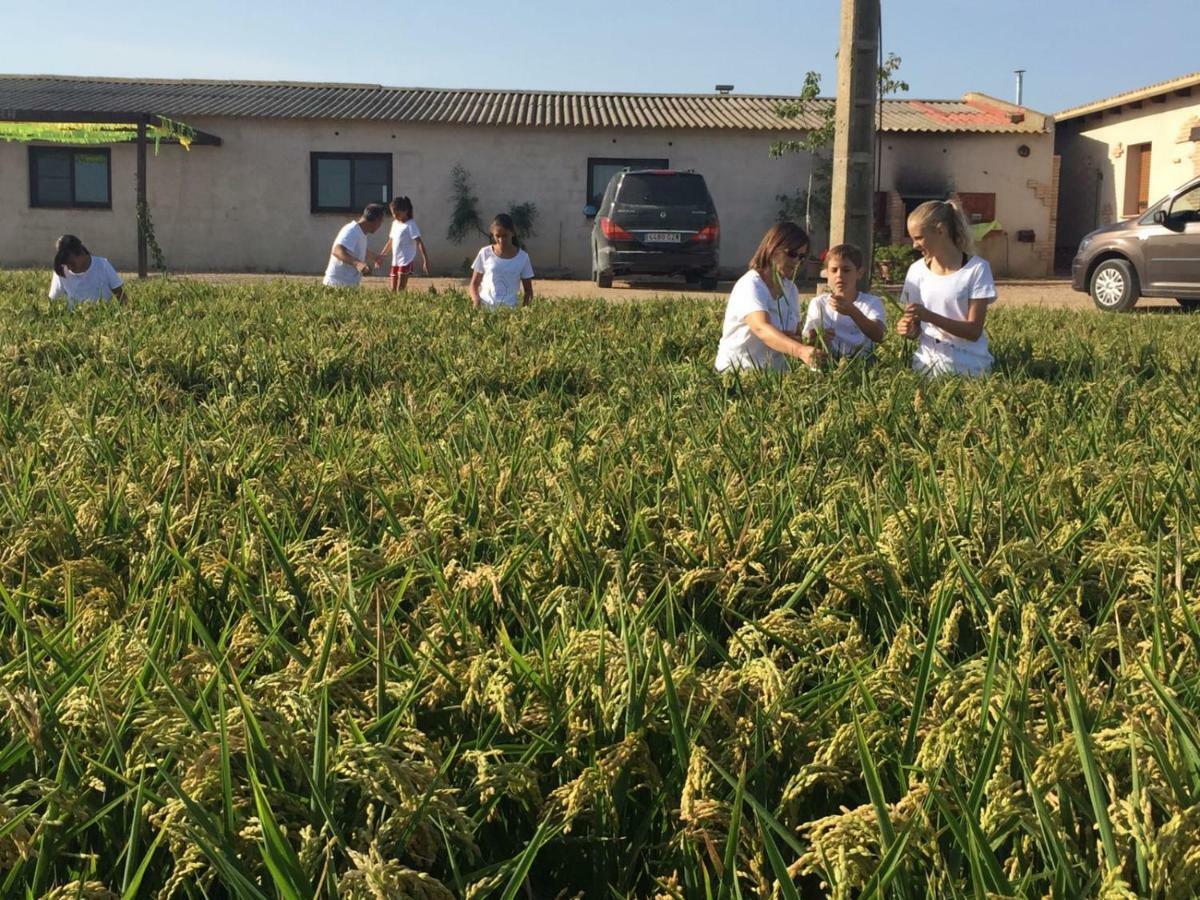 Affittacamere Casa La Tora Deltebre Esterno foto