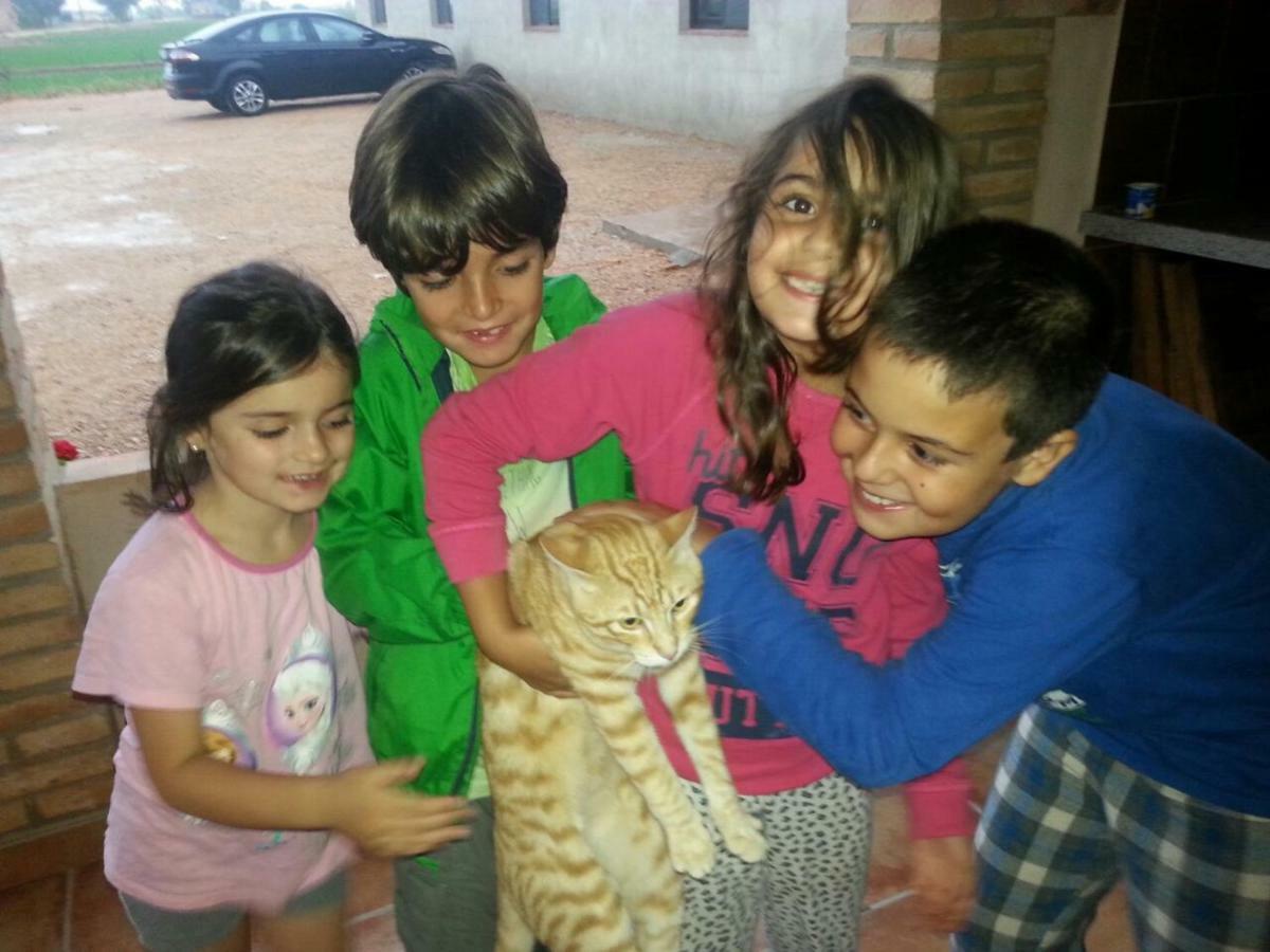 Affittacamere Casa La Tora Deltebre Esterno foto